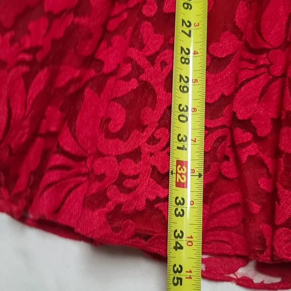 Ted Braker Elegant Red Lace Dress, size 2 - Picture 8 of 16